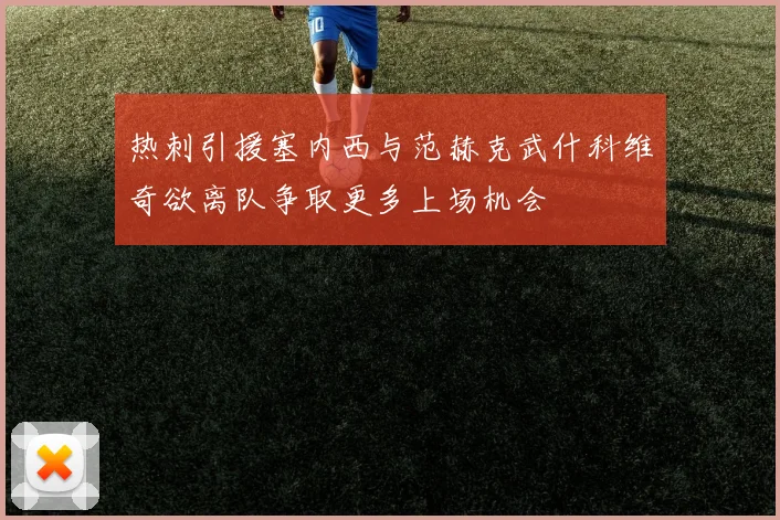 热刺引援塞内西与范赫克武什科维奇欲离队争取更多上场机会