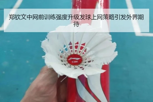 郑钦文中网前训练强度升级发球上网策略引发外界期待